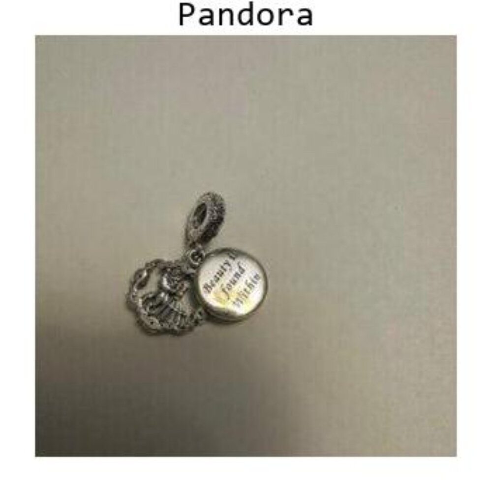 Pandora Beauty And The Beast Charm - image 3